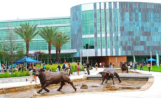 Đại học INTO Nam Florida – Ngôi trường uy tín tại Mỹ